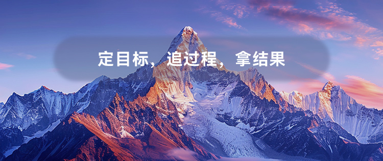 定目标，追过程，拿结果